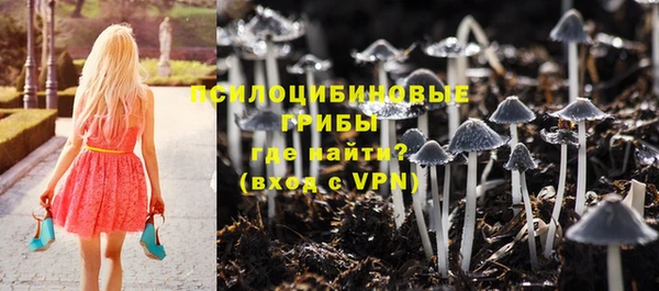 бошки Аркадак